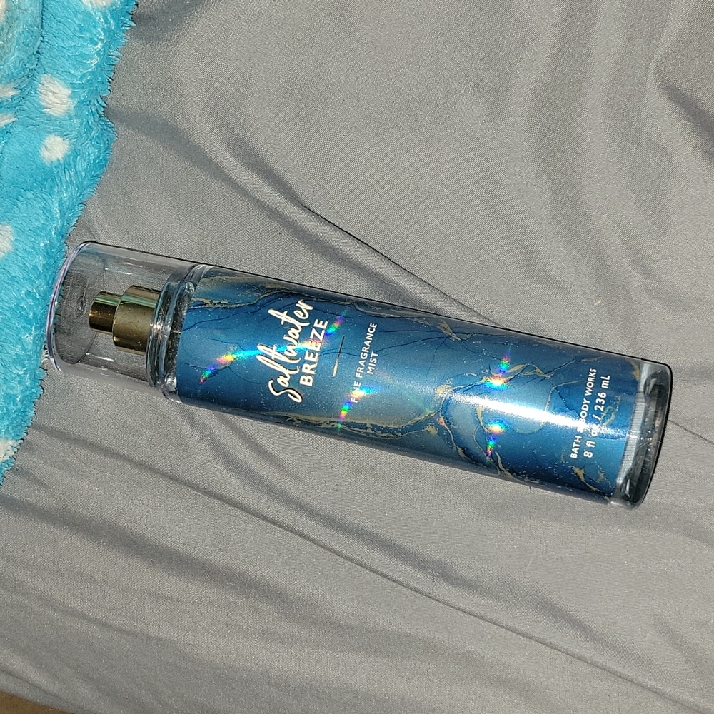 B&BW FS Daltwater Breeze Fragrance Mist